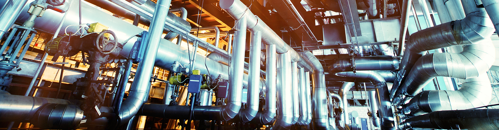 CASES  /  Pulp & Paper Mills